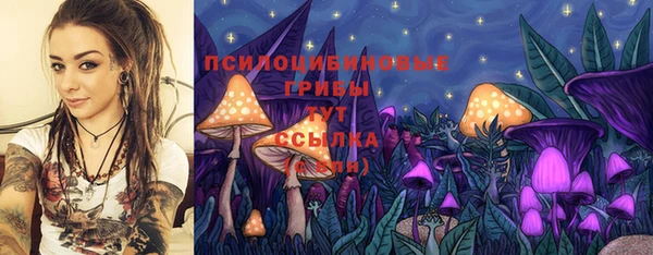 прущая мука Кулебаки