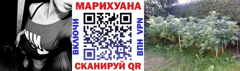 Бошки марихуана AK-47  цены наркотик  Полярный 